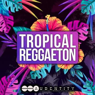 Tropical Reggaeton 2 (Sample Packs)