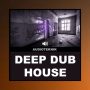 Audioteknik Deep Dub House Bundle (Sample Packs)