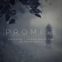 Freak Music Promise MIDI-WAV-ABLETON (Sample Packs)