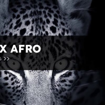 Tech X Afro (Sample Packs)