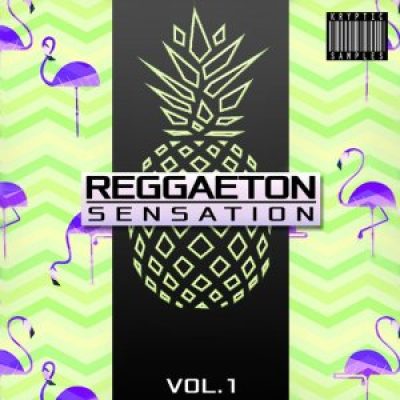 Reggaeton (Sample Packs)