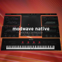 KORG - Modwave Native (Windows)