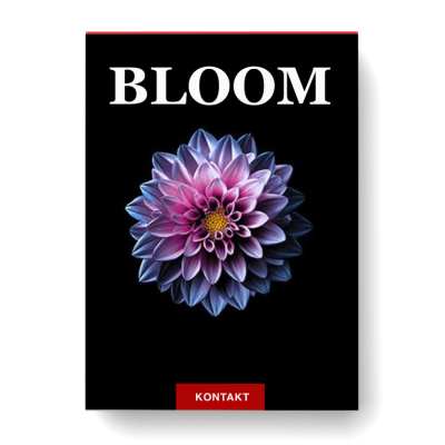 Naroth Audio Bloom