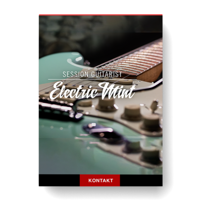 Session Guitarist-Electric Mint