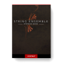 Symphony Series String Ensemble