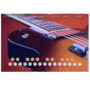 LANDR – Guitar (Windows)
