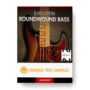 Orange Tree Samples – Evolution Roundwound Bass