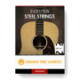 Orange Tree Samples - Evolution Steel Strings