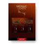 Heavyocity – Mosaic Leads