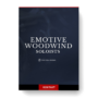 Fracture Sounds - Emotive Woodwind Soloists