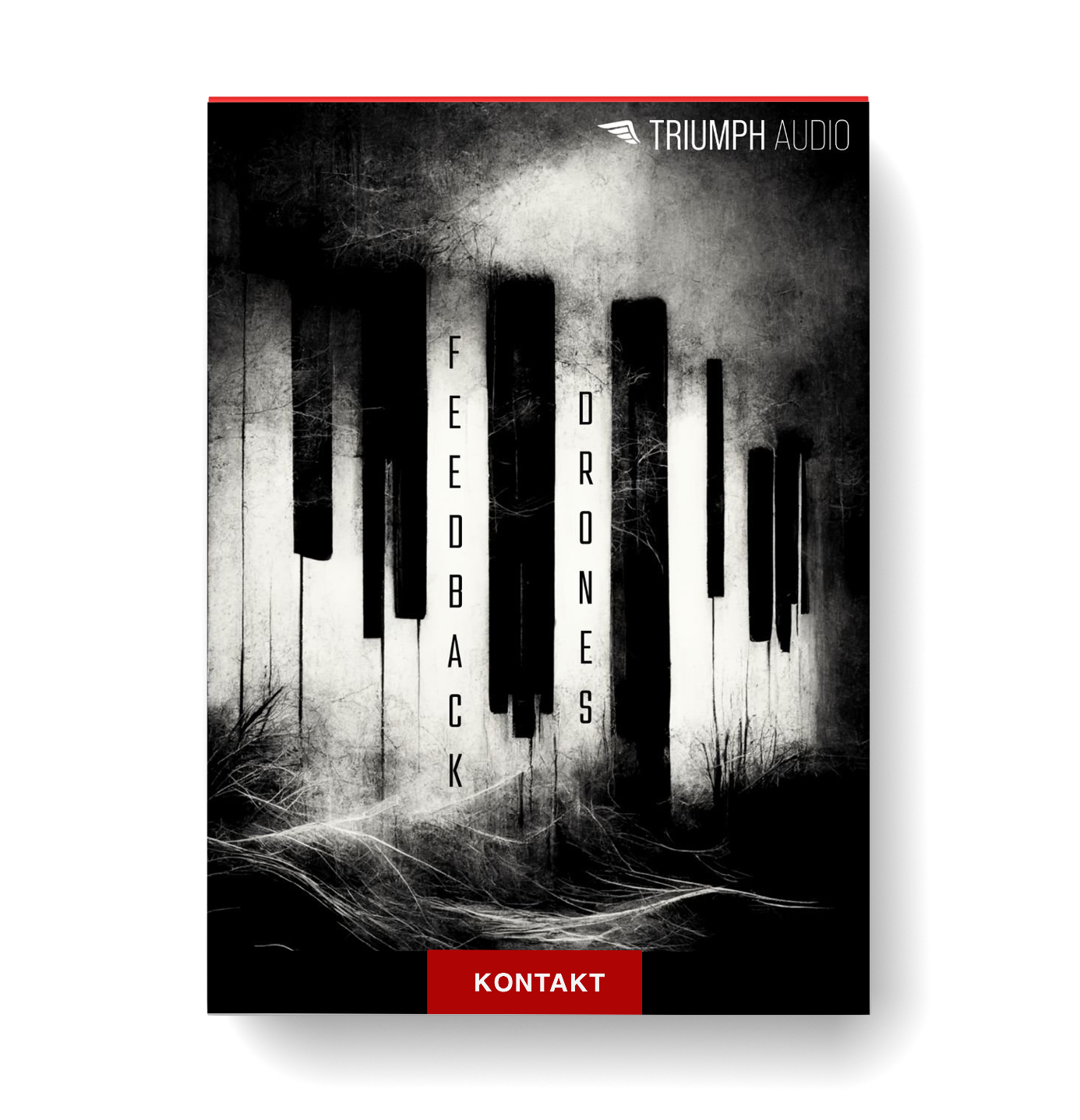 Triumph Audio – Feedback Drones