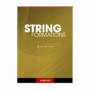Fracture Sounds - String Formations