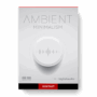 Big Fish Audio - Ambient Minimalism