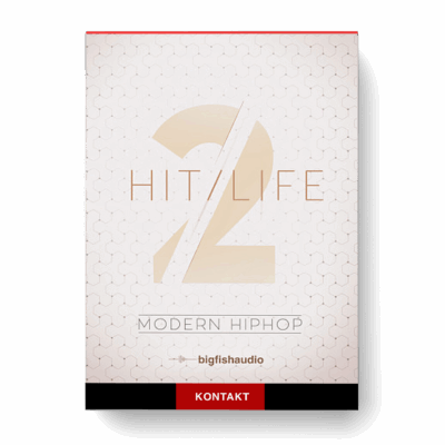 Big Fish Audio – Hit Life 2