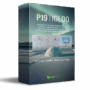 Pulsar Modular – P19 Igloo (Windows)